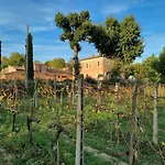 Fornace Del Conte * Abbadia di Montepulciano