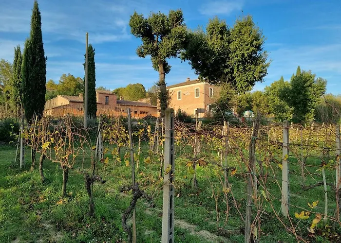 Fornace Del Conte * Abbadia di Montepulciano