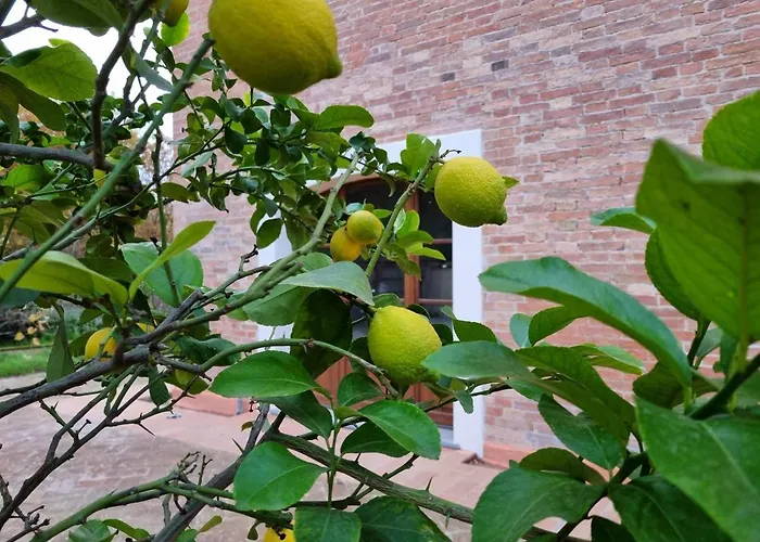 Fornace Del Conte