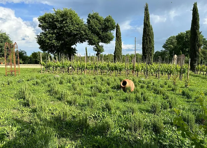 Fornace Del Conte * Abbadia di Montepulciano