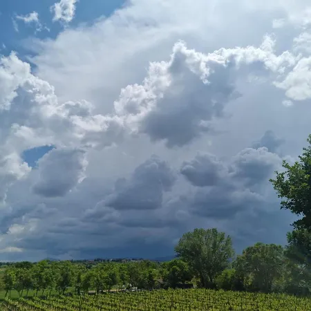 Fornace Del Conte Apartman Abbadia di Montepulciano