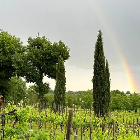 Fornace Del Conte * Abbadia di Montepulciano